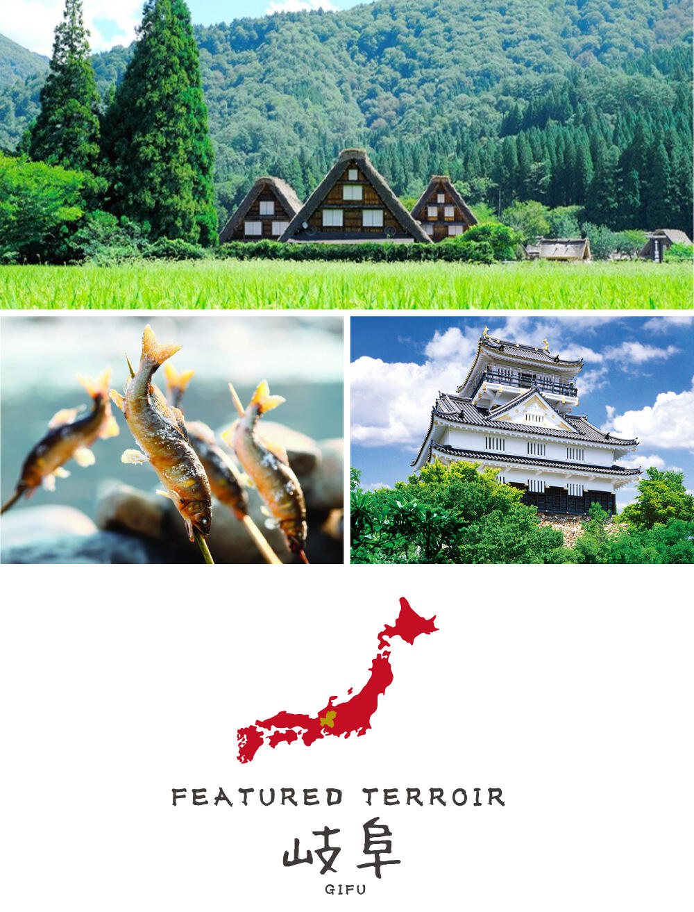 DRAWING Featured Terroir 岐阜