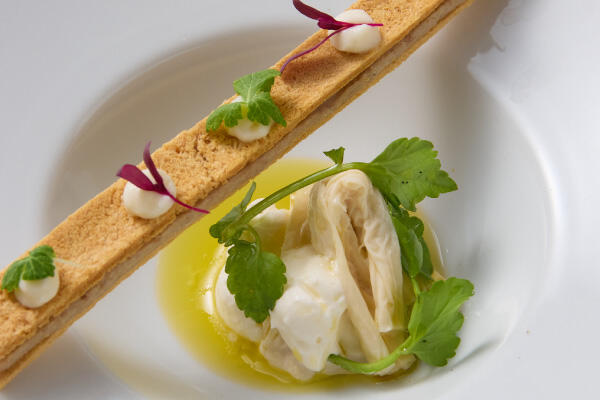 奈良県産 とろゆば ヤマトポーク 根セロリ 酒粕