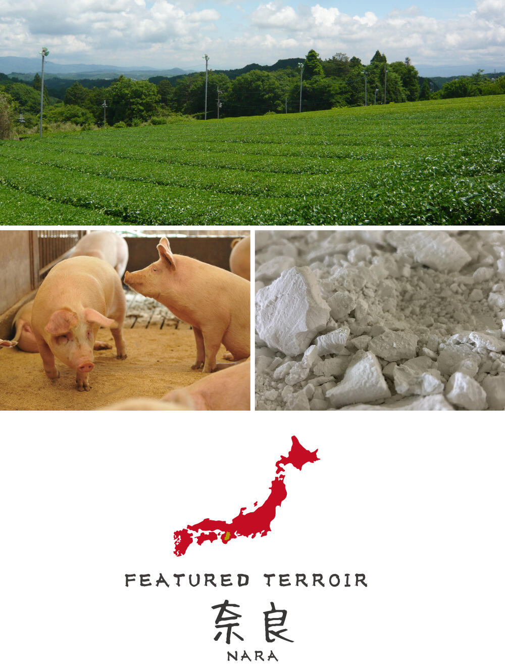 DRAWING Featured Terroir 奈良