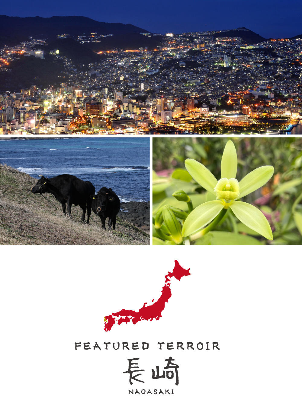 DRAWING Featured Terroir 長崎