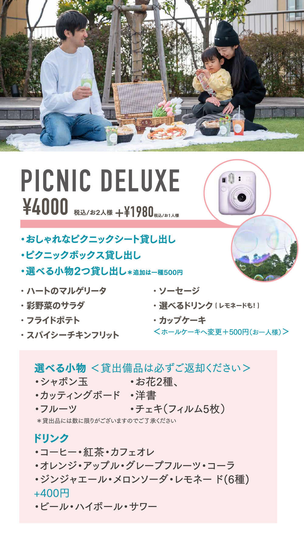 tn_picnic_1.jpg