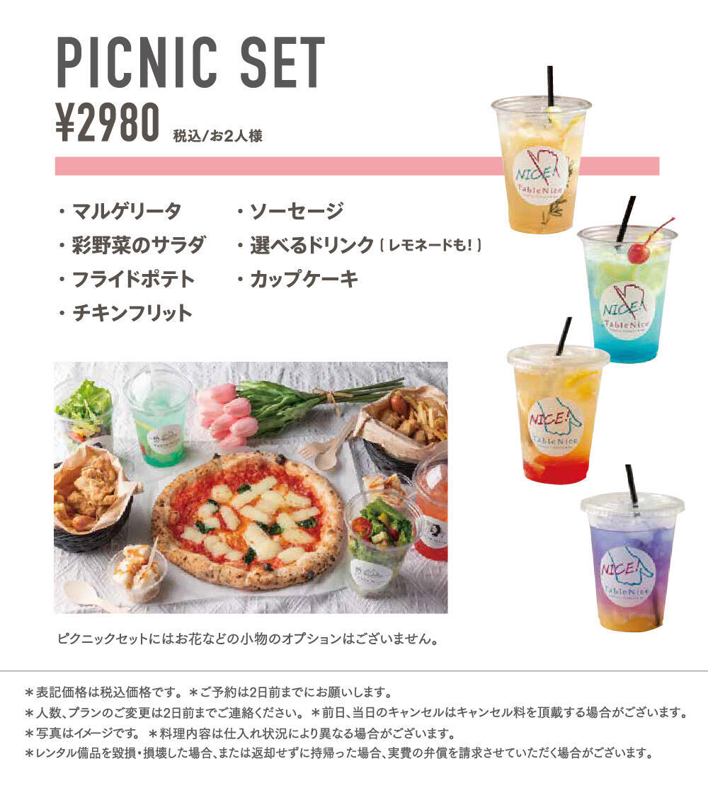 tn_picnic_2.jpg
